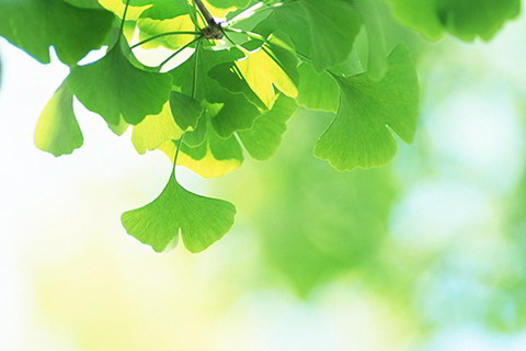 1988今年属龙的人需忌什么 1988属龙的最忌讳戴什么