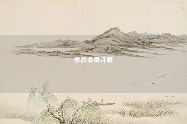 紫薇命盘详解 八字命格详批 易学 第1张 紫薇命盘详解 八字命格详批 易学 第1张